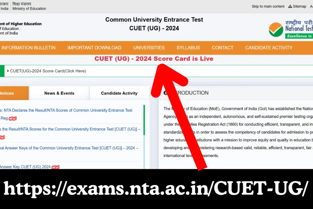 CUET UG 2024 Results Live Now at exams.nta.ac.inCUET-UG