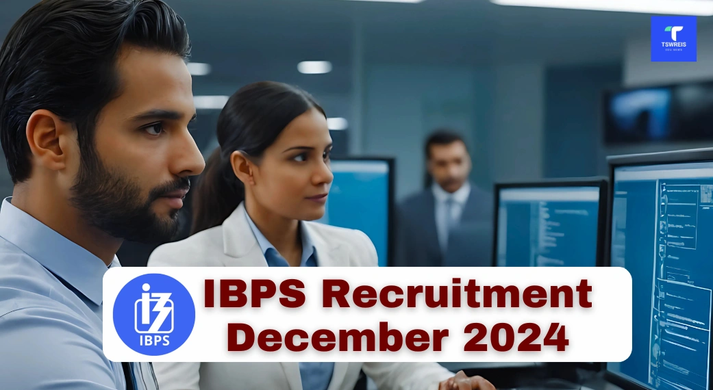 IBPS Recruitment December 2024 Server Administrator Vacancy