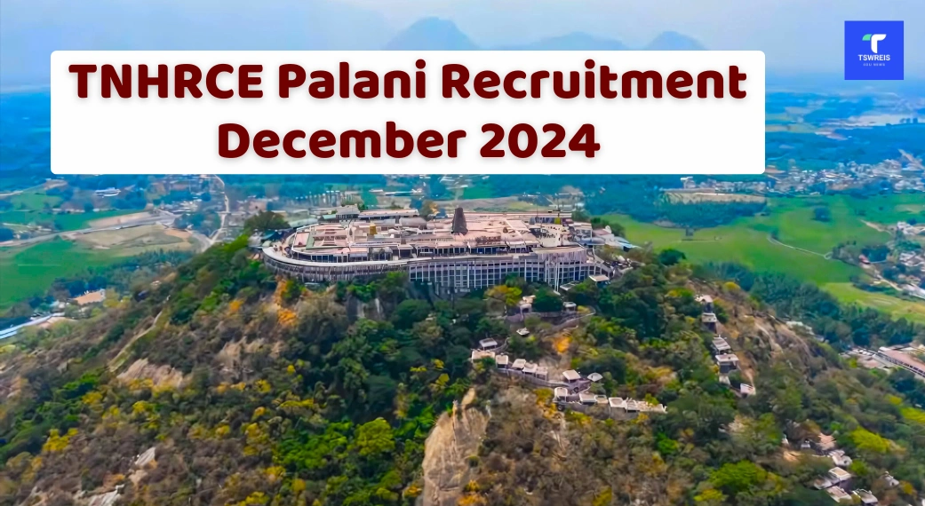 TNHRCE Palani Recruitment December 2024 Apply for 296 Jobs